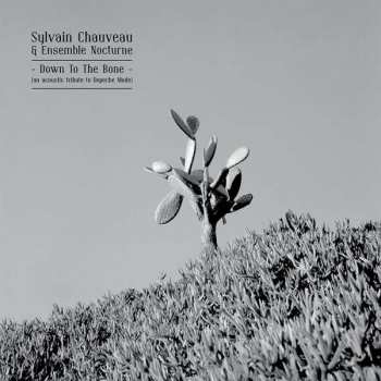 Album Sylvain Chauveau: Down To The Bone (An Acoustic Tribute To Depeche Mode)