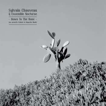 CD Sylvain Chauveau: Down To The Bone 510213