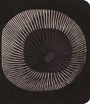 CD System Of A Down: Hypnotize DIGI 16898