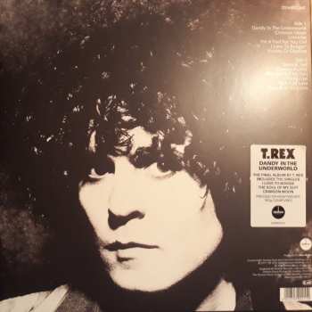 LP T. Rex: Dandy In The Underworld CLR 399435