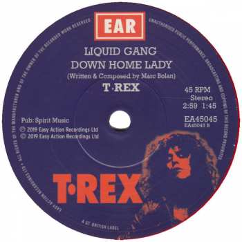 SP T. Rex: The Groover
