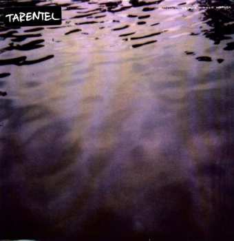 Album Tarentel: We Move Through Weather