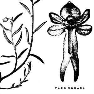 Taro Nohara: Poly​-​Time Soundscapes / Forest Of The Shrine