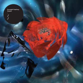 Album Teengirl Fantasy: Tracer Dlx.