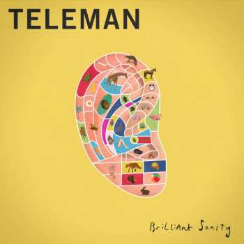 Album Teleman: Brilliant Sanity