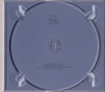 CD Teleman: Brilliant Sanity 5906