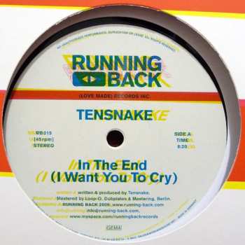Album Tensnake: In The End (I Want You To Cry)