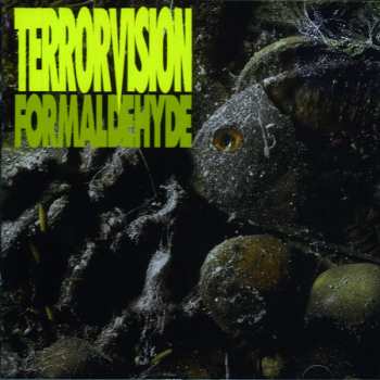 2CD Terrorvision: Formaldehyde 312984