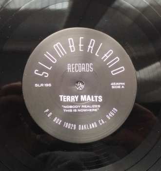 LP Terry Malts: Nobody Realizes This Is Nowhere 463016