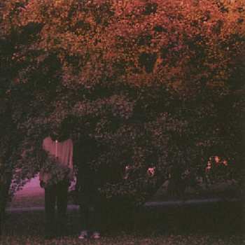 Album Testbild!: Inexplicable Feeling Of September