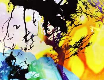 CD Amorphous Androgynous: A Monstrous Psychedelic Bubble Exploding In Your Mind