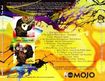 CD Amorphous Androgynous: A Monstrous Psychedelic Bubble Exploding In Your Mind