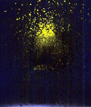 LP The Antlers: Burst Apart