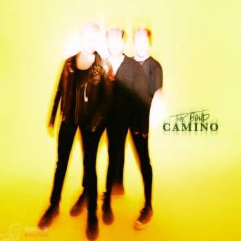 Album The Band Camino: The Band Camino