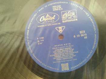 LP The Beach Boys: The Beach Boys 53091
