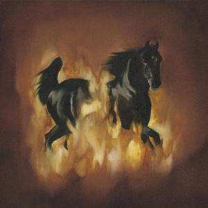 Album The Besnard Lakes: The Besnard Lakes Are The Dark Horse