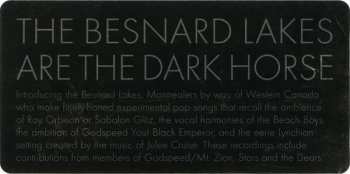 LP The Besnard Lakes: The Besnard Lakes Are The Dark Horse 85176