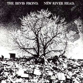 2CD The Bevis Frond: New River Head 519382