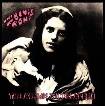 Album The Bevis Frond: The Auntie Winnie Album