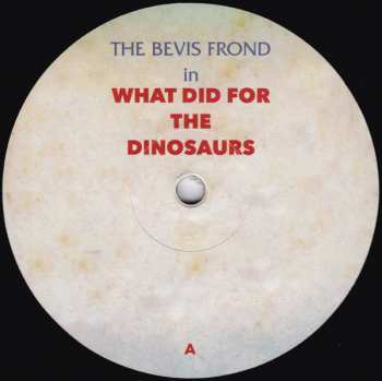 2LP The Bevis Frond: What Did For The Dinosaurs 78177