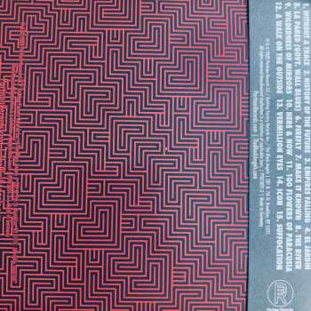 CD The Black Angels: Wilderness Of Mirrors 392801