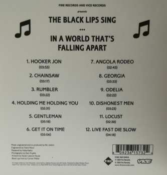 CD The Black Lips: In A World That's Falling Apart DIGI 94302