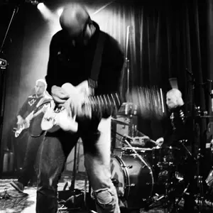 Live In San Francisco