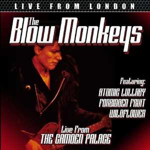 Album The Blow Monkeys: Live From London