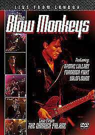 DVD The Blow Monkeys: Live From London 272827
