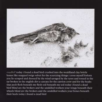 CD Suede: The Blue Hour