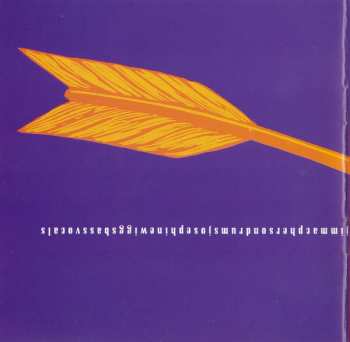 CD The Breeders: Last Splash 19791