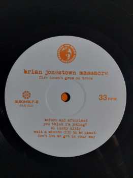 LP The Brian Jonestown Massacre: Fire Doesn't Grow On Trees 321900