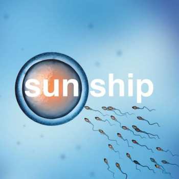 Album The Brian Jonestown Massacre: The Sun Ship