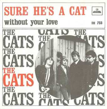 Album The Cats: Sure He's A Cat