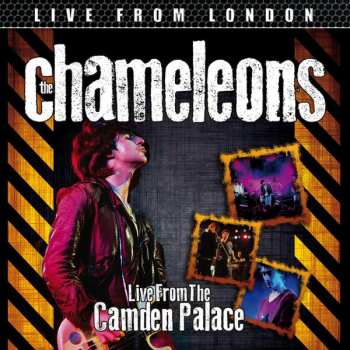 Album The Chameleons: Live From The Camden Palace