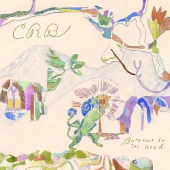 Album The Chris Robinson Brotherhood: Barefoot In The Head