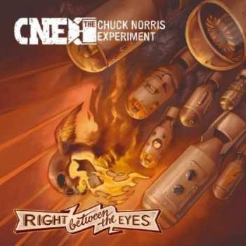 The Chuck Norris Experiment: Right Between The Eyes