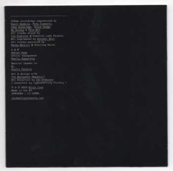 CD The Cinematic Orchestra: To Believe 266504