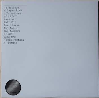 2LP The Cinematic Orchestra: To Believe DLX | LTD | CLR