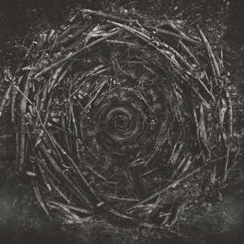 The Contortionist: Clairvoyant