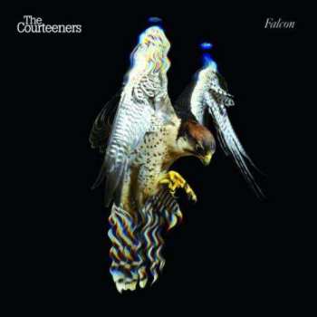 Album The Courteeners: Falcon