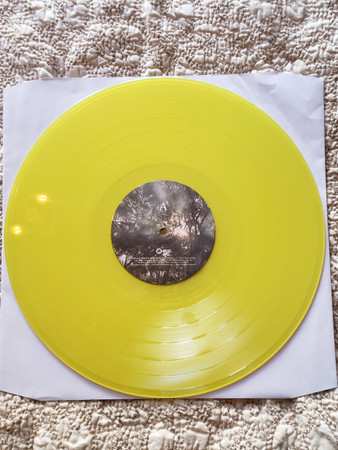 LP The Dangerous Summer: Golden Record LTD | CLR 336163