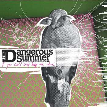 CD The Dangerous Summer: If You Could Only Keep Me Alive