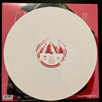 LP The Darcys: Centerfold CLR