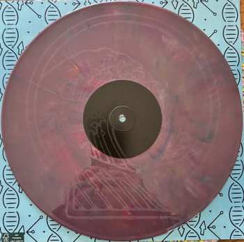 4LP/Box Set The Dirty Heads: Midnight Control DLX | CLR