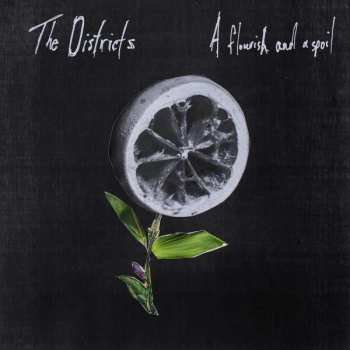 Album The Districts: A Flourish And A Spoil