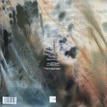 2LP The Drift Institute: Damages And Their Slices LTD 426390