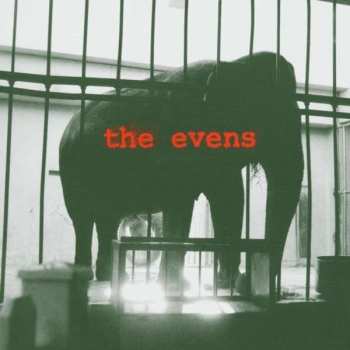Album The Evens: The Evens
