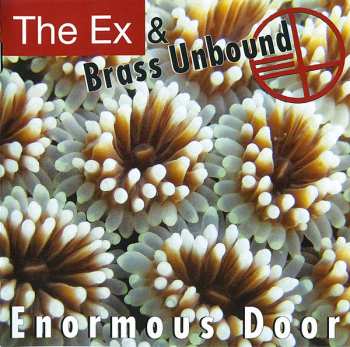 Album The Ex: Enormous Door