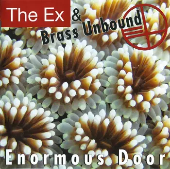 The Ex: Enormous Door